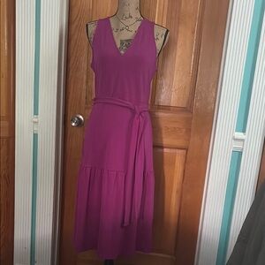 Elegant Banana Republic SP Magenta Sleeveless Dress